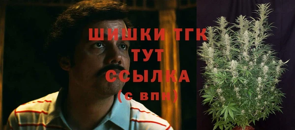 Альфа ПВП Бородино