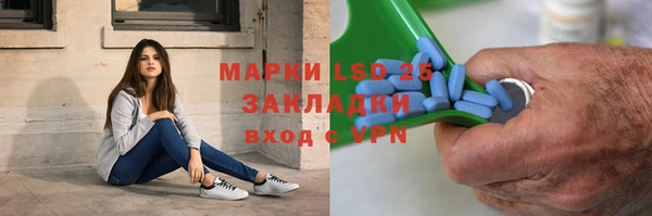 крисы Бугульма