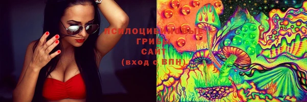 амф Богородск